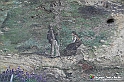 VBS_3748 - Fontanile (Asti) - Murales di Luigi Amerio
